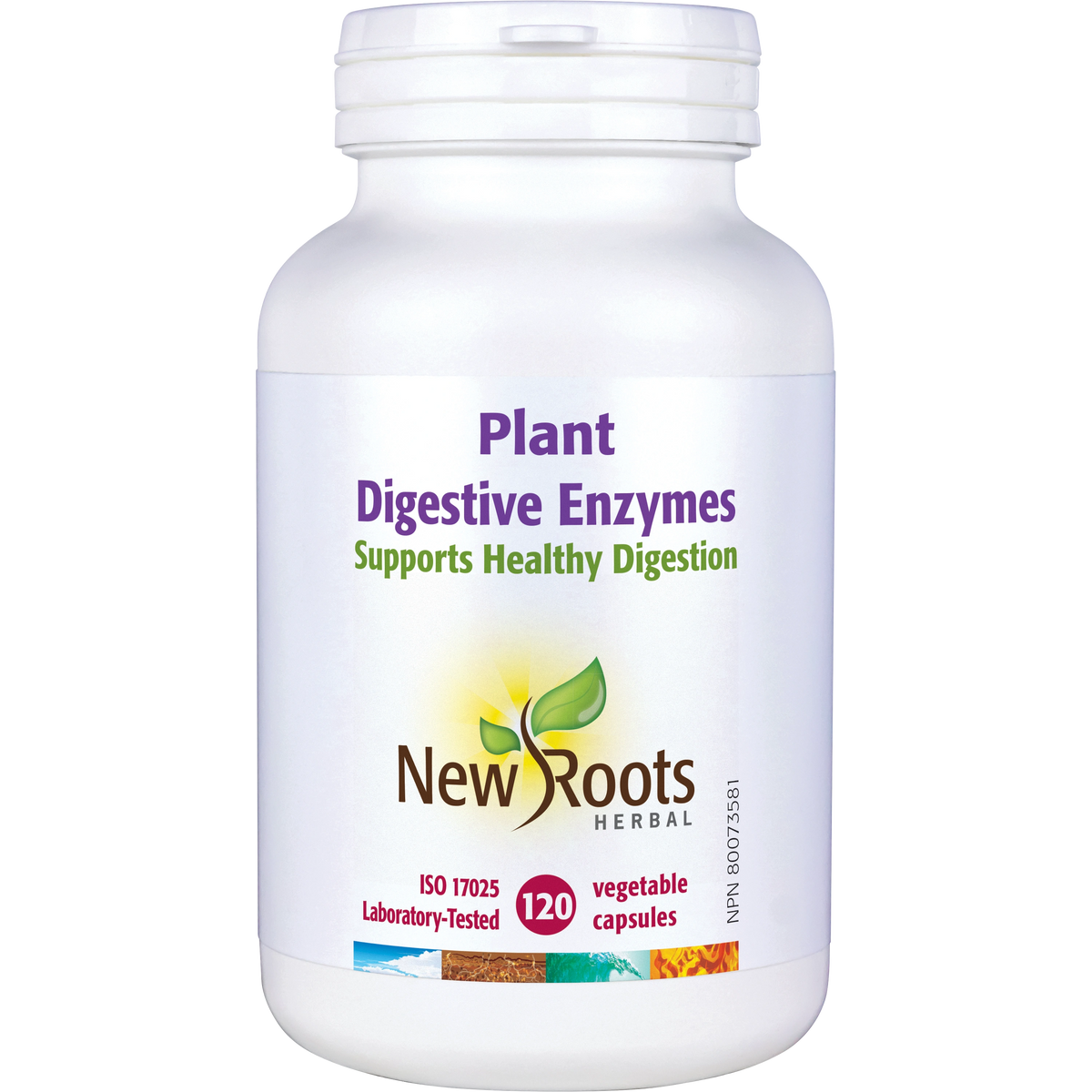 Plant Digestive Enzymes