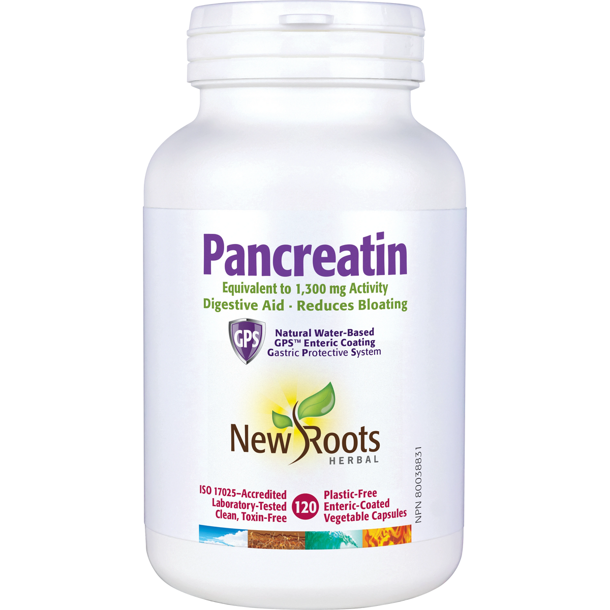 Pancreatin