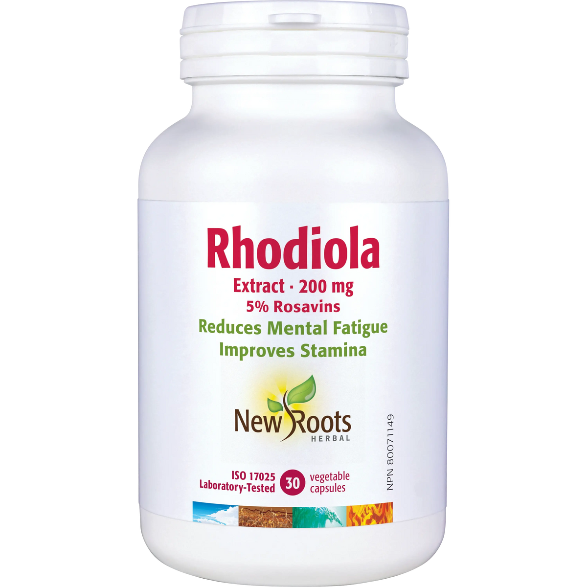 Rhodiola