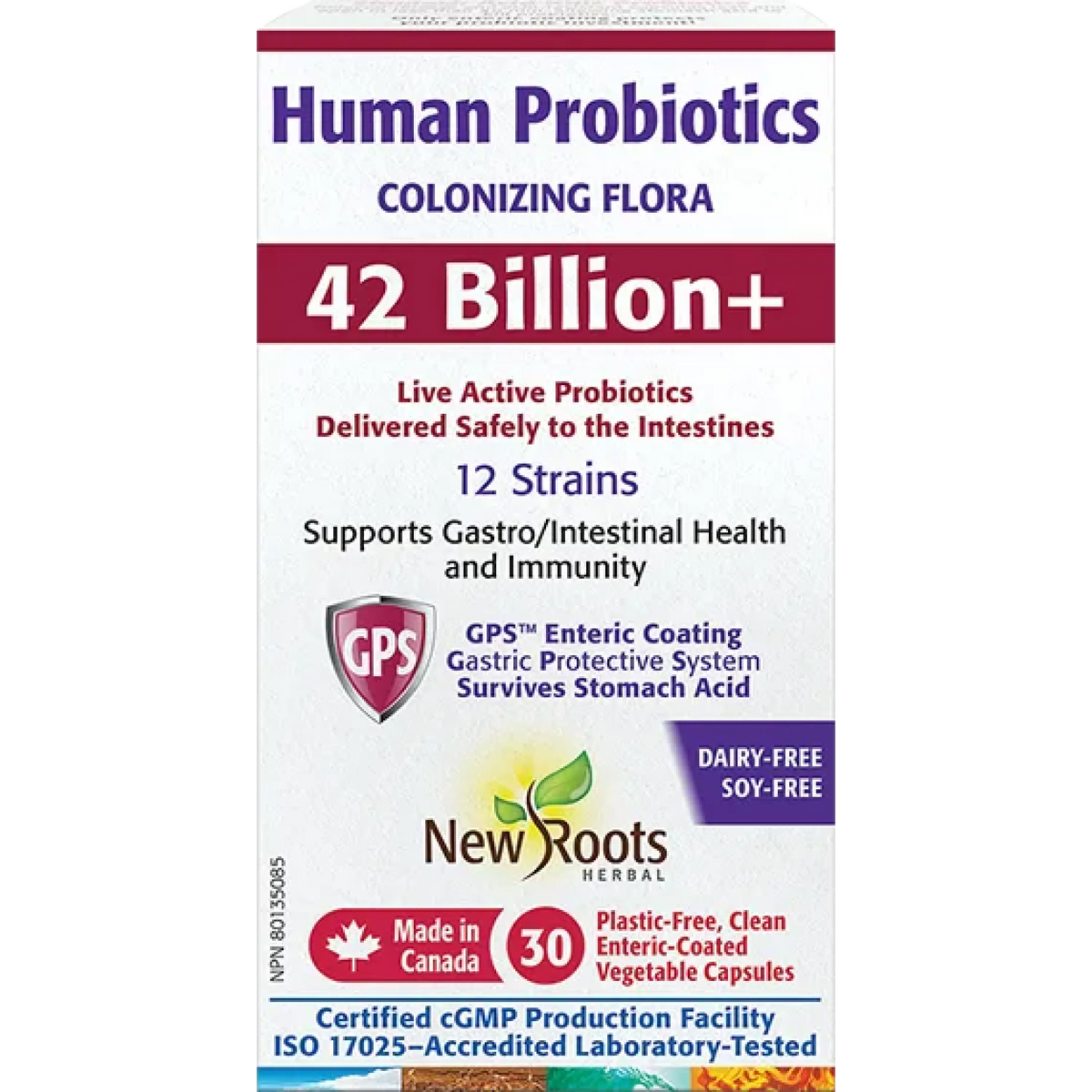 Human Probiotics 42 Billion+