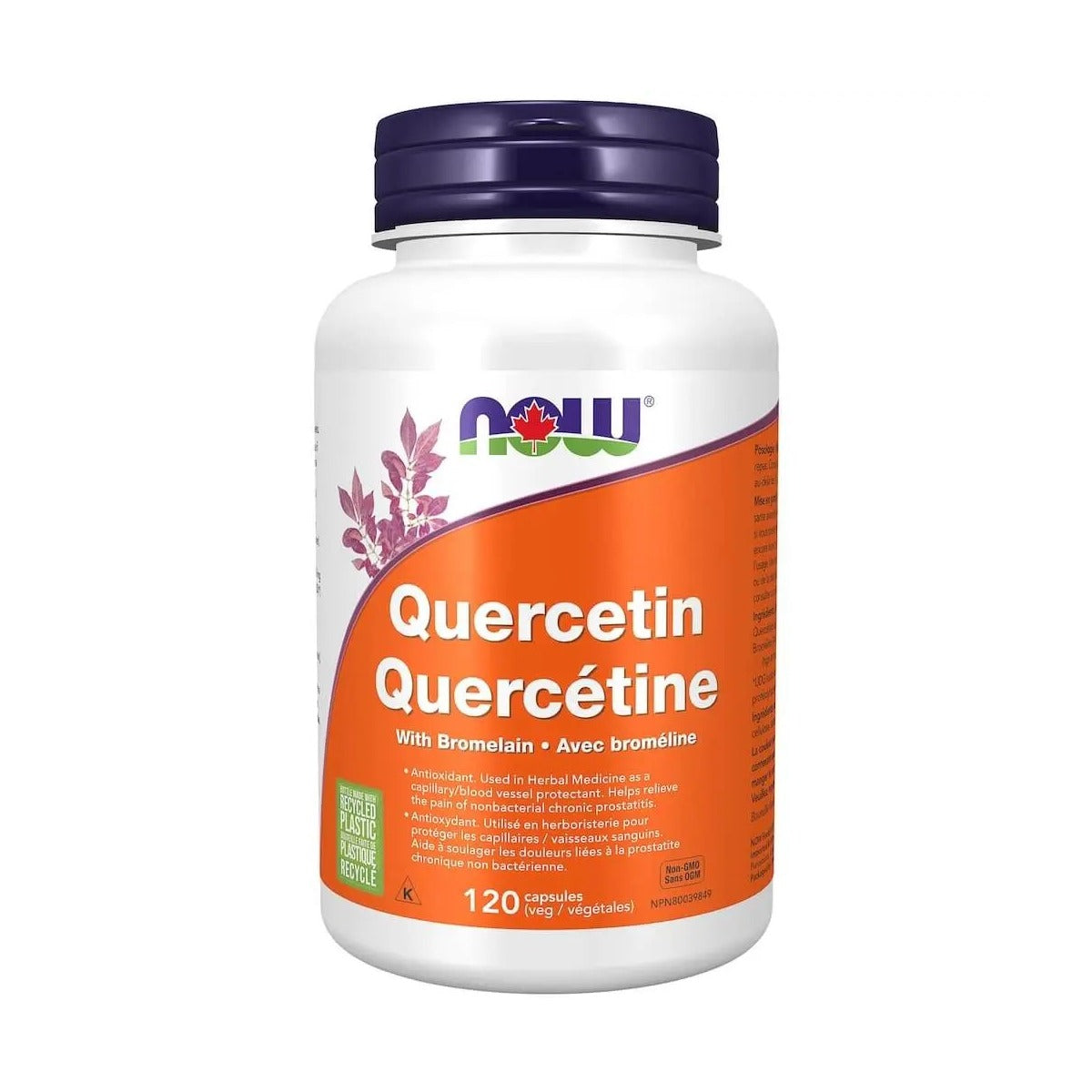 Now Quercetin 120C