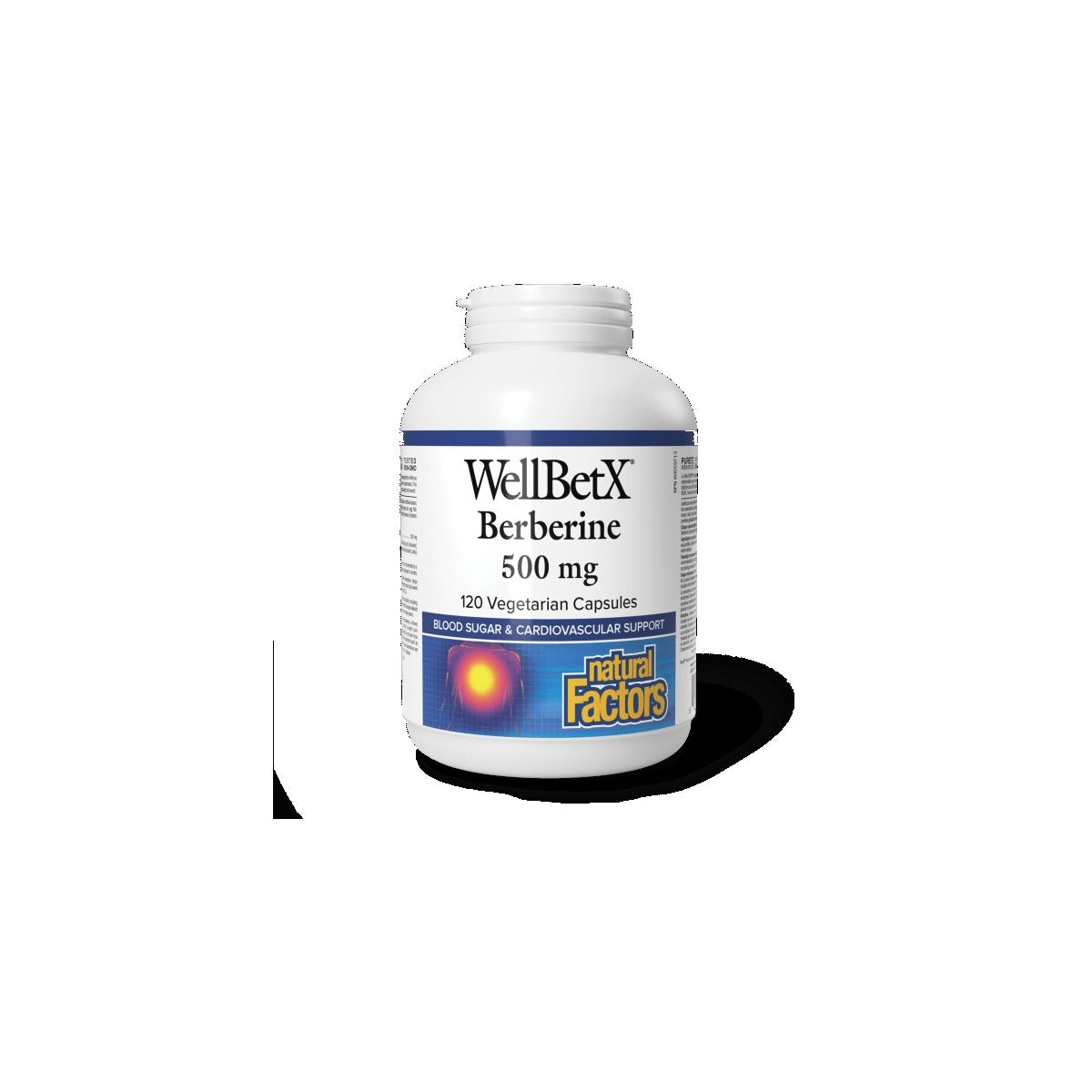 NF Berberine 120 C